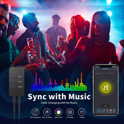 Colourthe RGBIC Colorful Decorative Light String