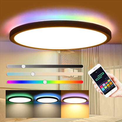 Colourthe Smart RGB LED Ceiling light (Double-Sided Light Source)