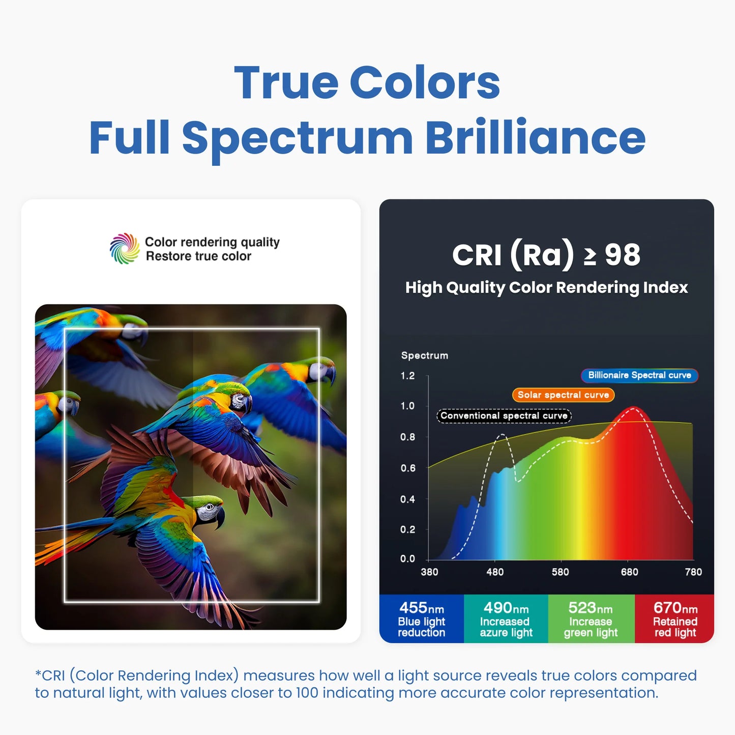 Full Spectrum Floor Lamp Pure