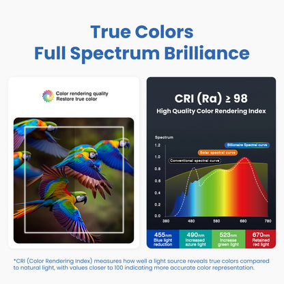 Full Spectrum Floor Lamp Pure