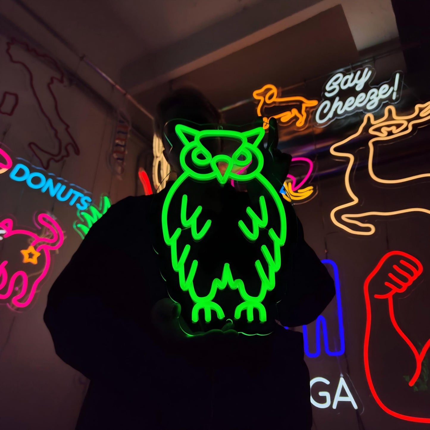 Owl Neon Sign For Wall Decor