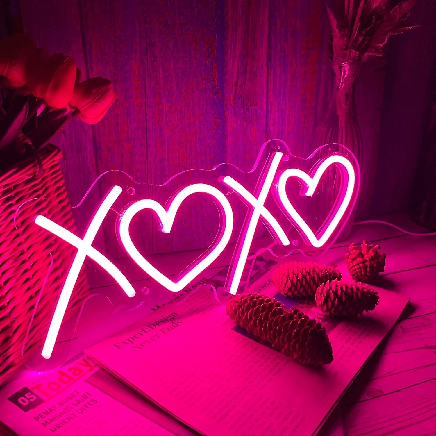 Pink Neon Sign - Aesthetic USB-Operated LED Light for Bedroom/Gaming Decor & Birthday Gifts (X0X0)