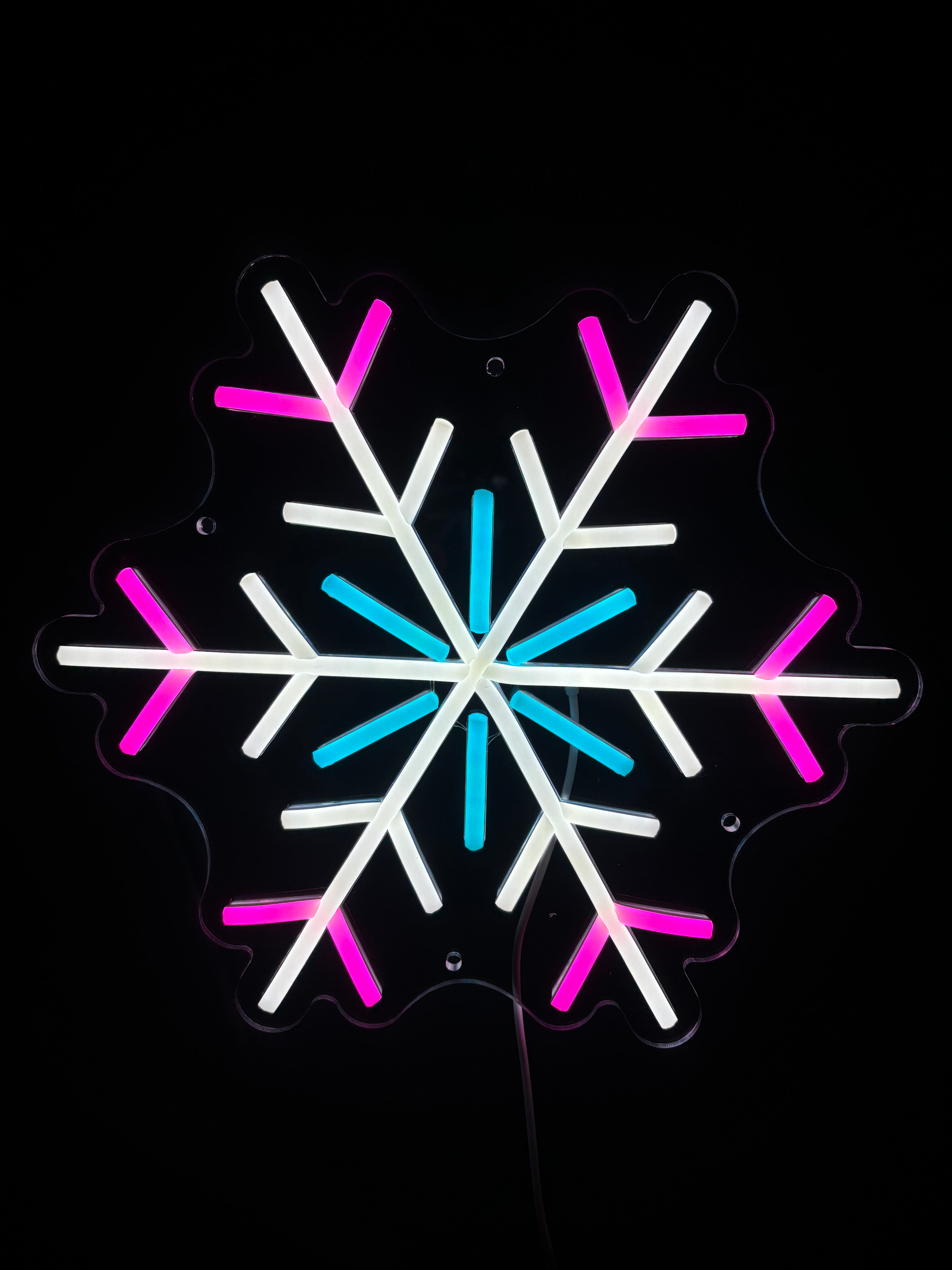 Snowflake Neon Sign